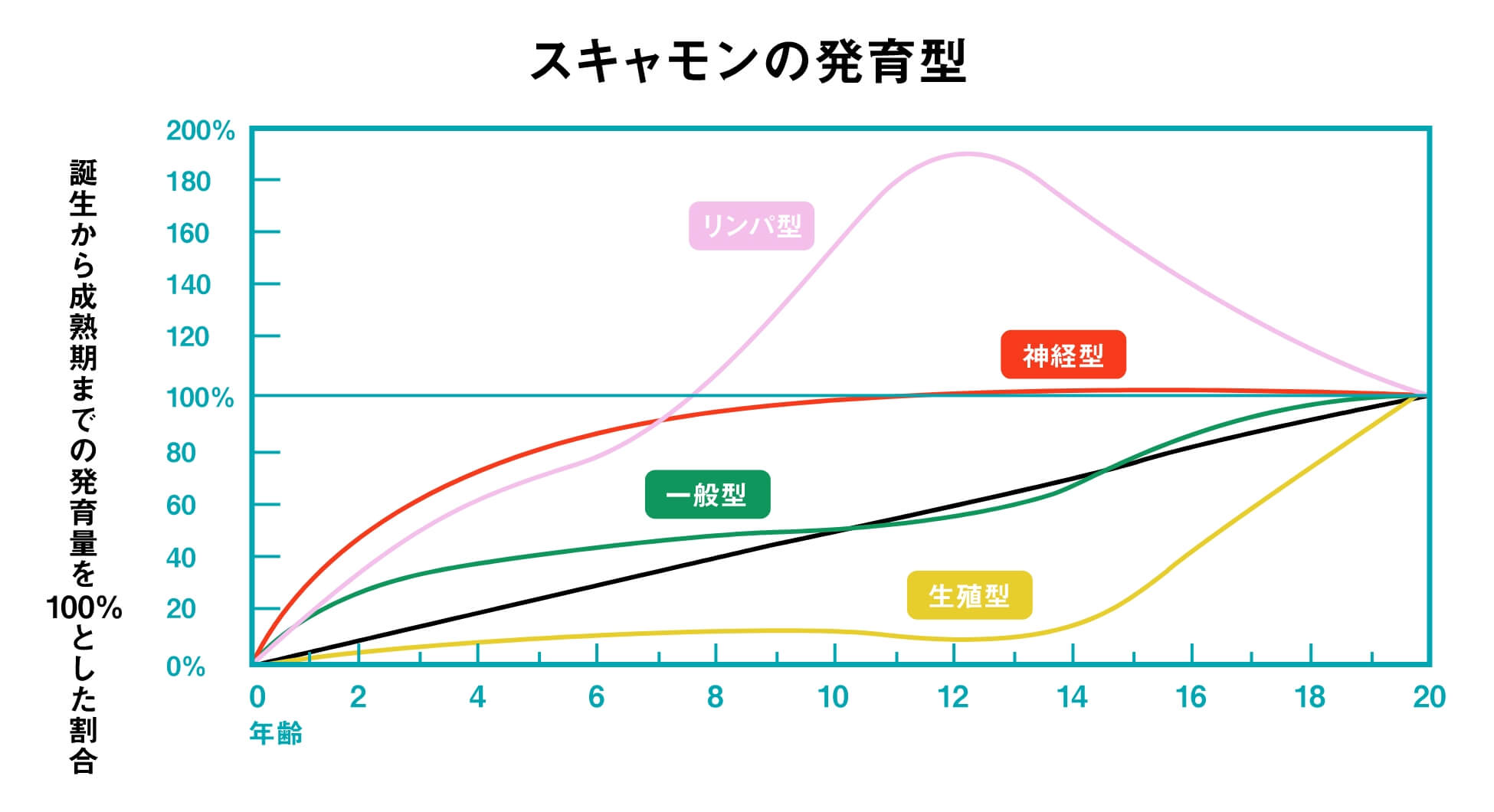 スキャモンの発育型