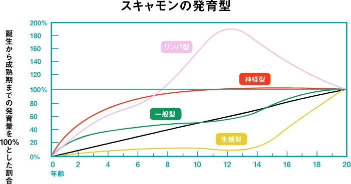 スキャモンの発育型